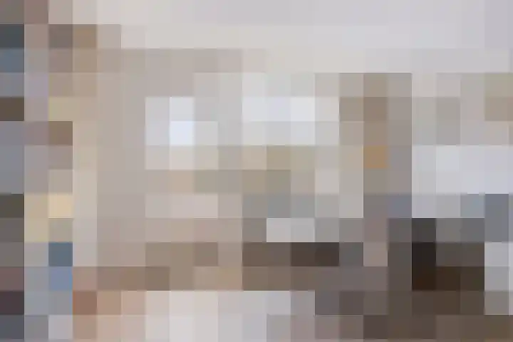 Hazenboslaan 45 Oegstgeest thumbnail 20