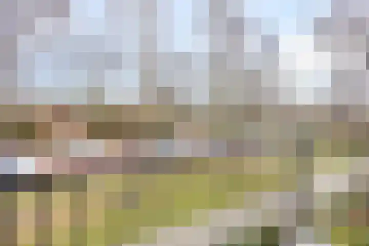 Hazenboslaan 45 Oegstgeest thumbnail 21
