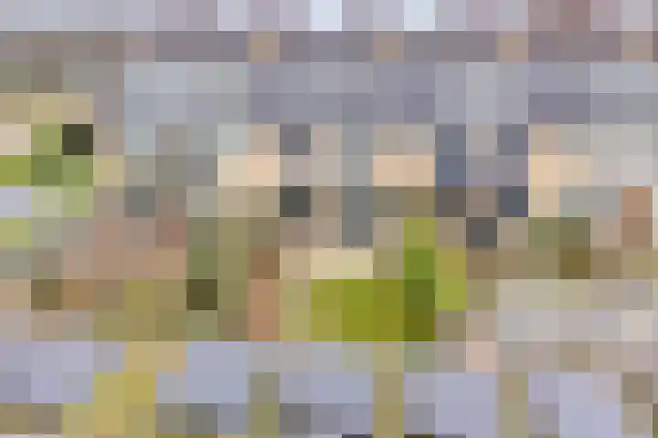 Hazenboslaan 45 Oegstgeest thumbnail 34