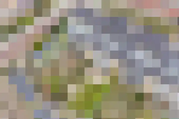 Hazenboslaan 45 Oegstgeest thumbnail 35