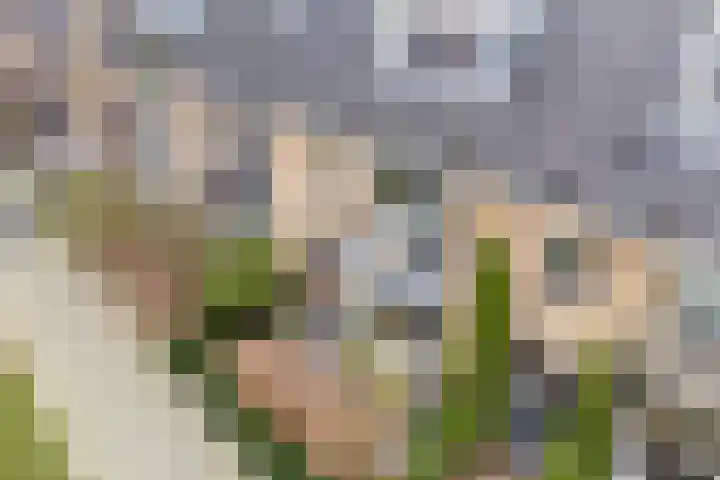 Hazenboslaan 45 Oegstgeest thumbnail 36