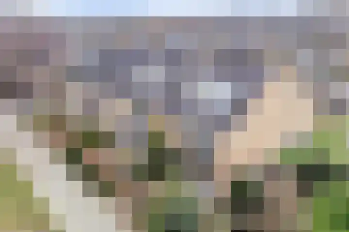 Hazenboslaan 45 Oegstgeest thumbnail 37