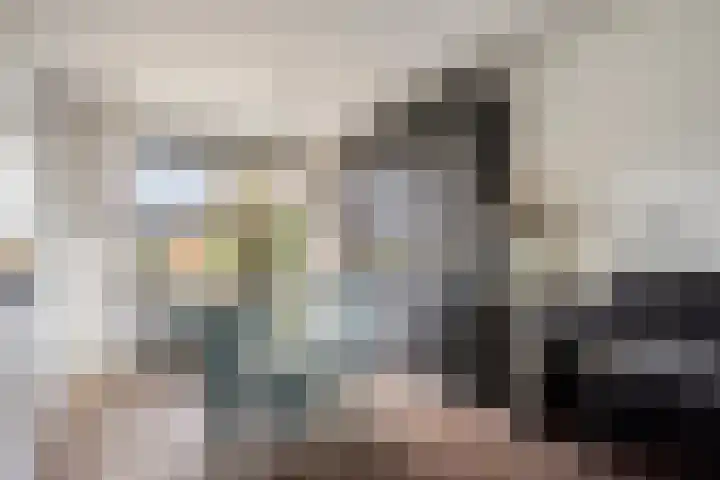 Hazenboslaan 45 Oegstgeest thumbnail 8