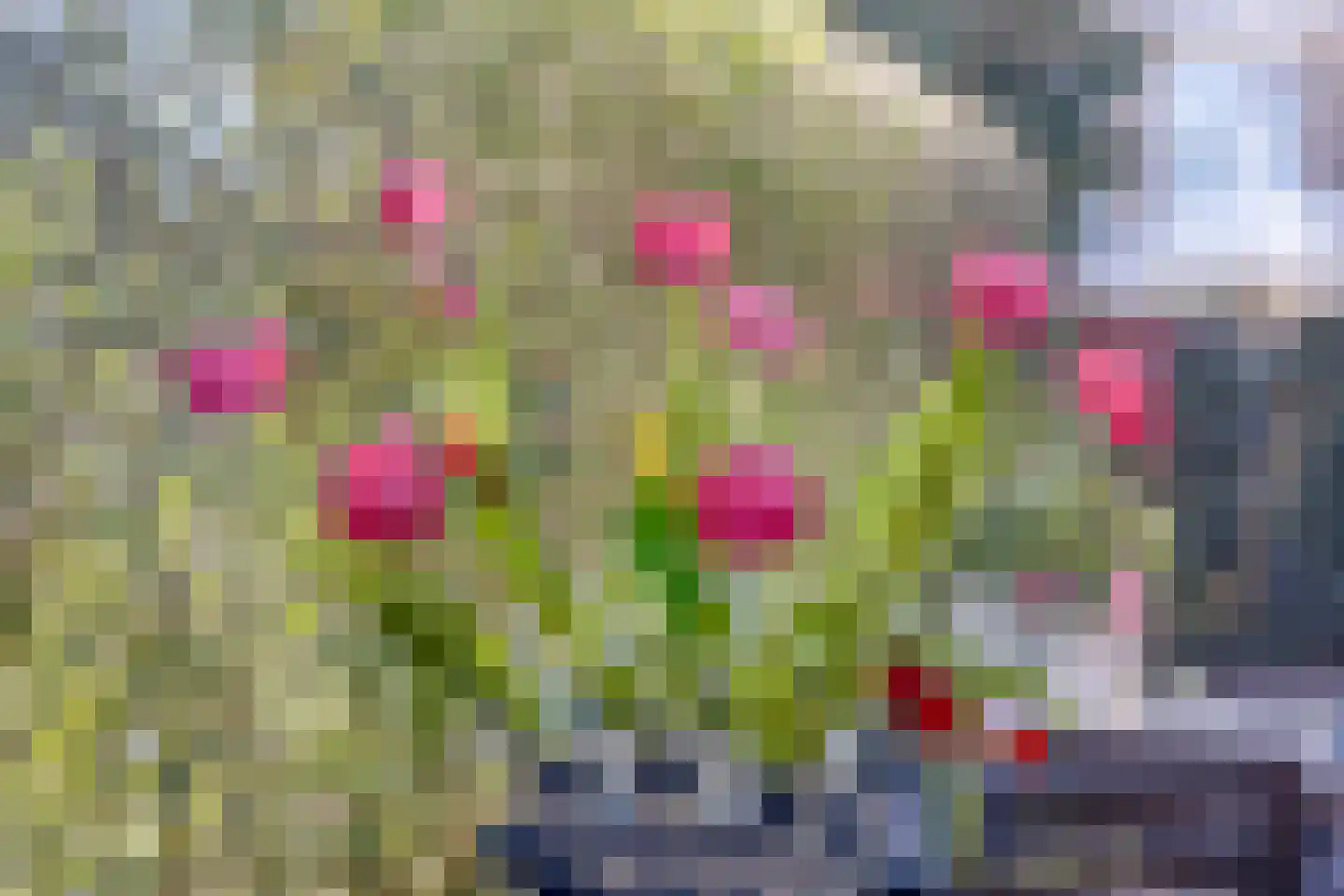 Hazenboslaan 5 Oegstgeest thumbnail 17
