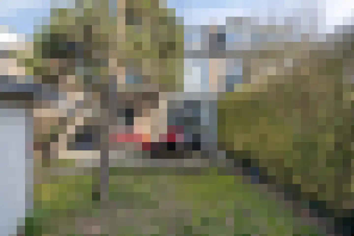 Hazenboslaan 5 Oegstgeest thumbnail 19