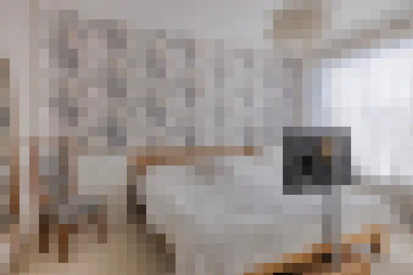 Hazenboslaan 5 Oegstgeest thumbnail 22