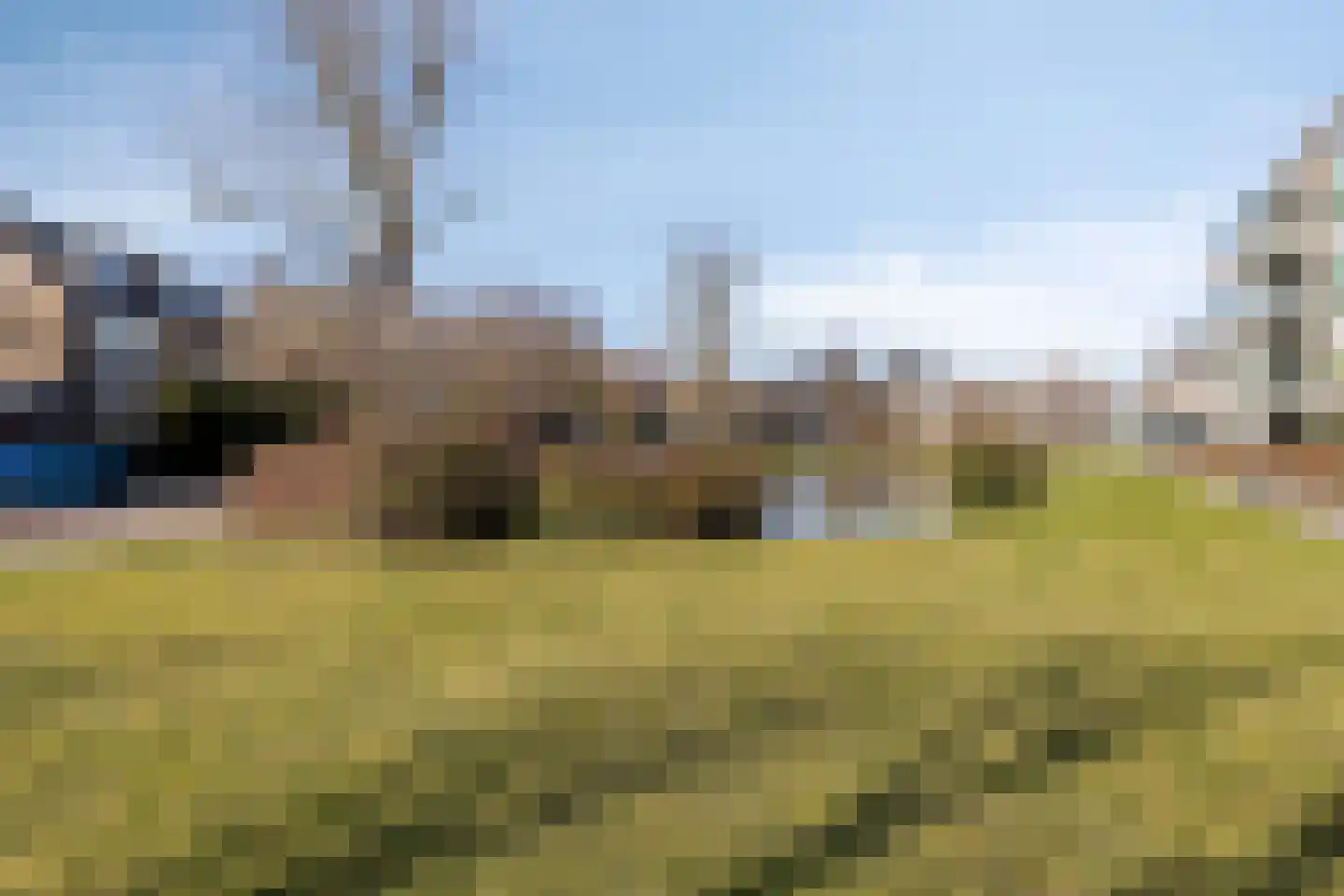 Hazenboslaan 5 Oegstgeest thumbnail 36
