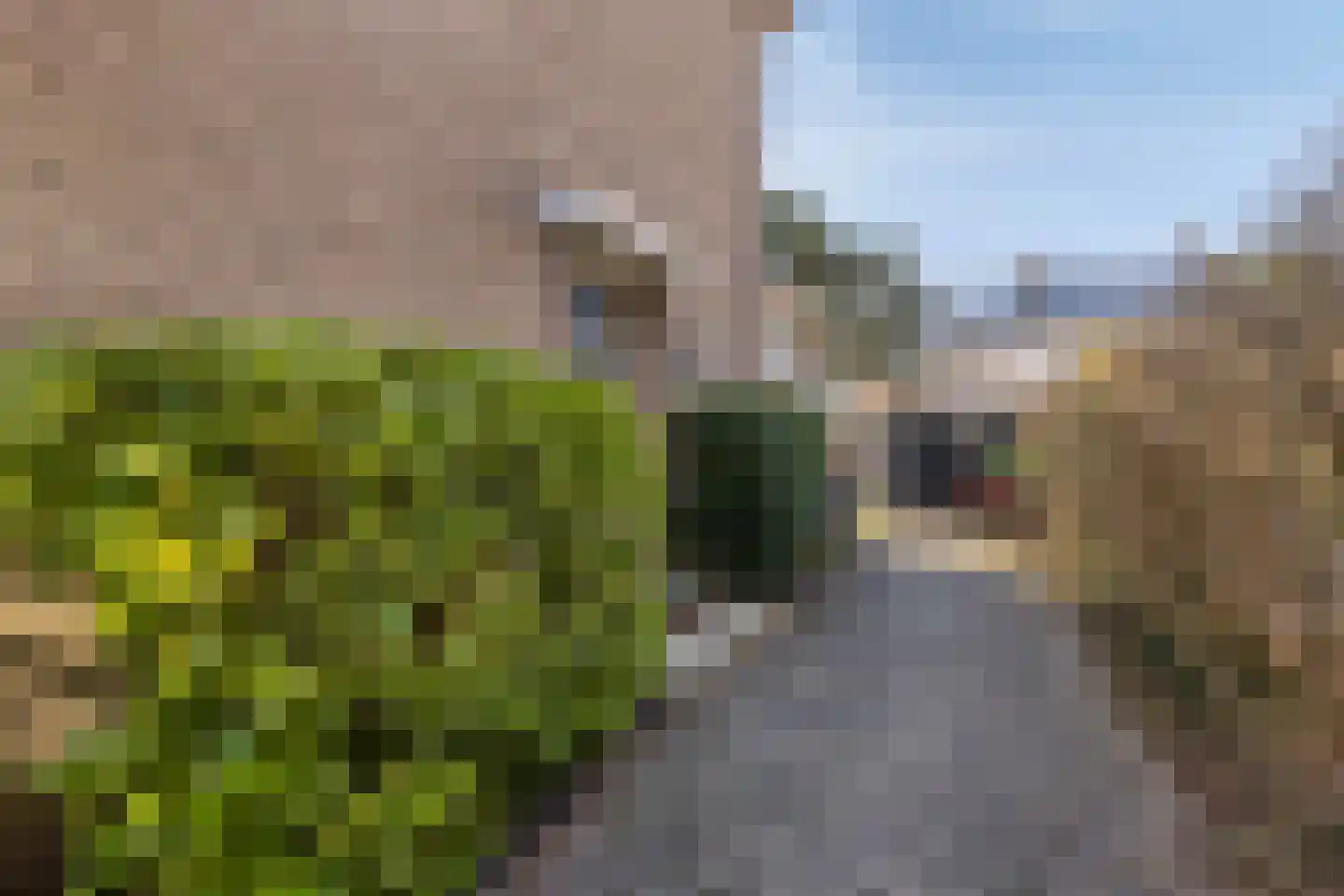 Hazenboslaan 5 Oegstgeest thumbnail 5