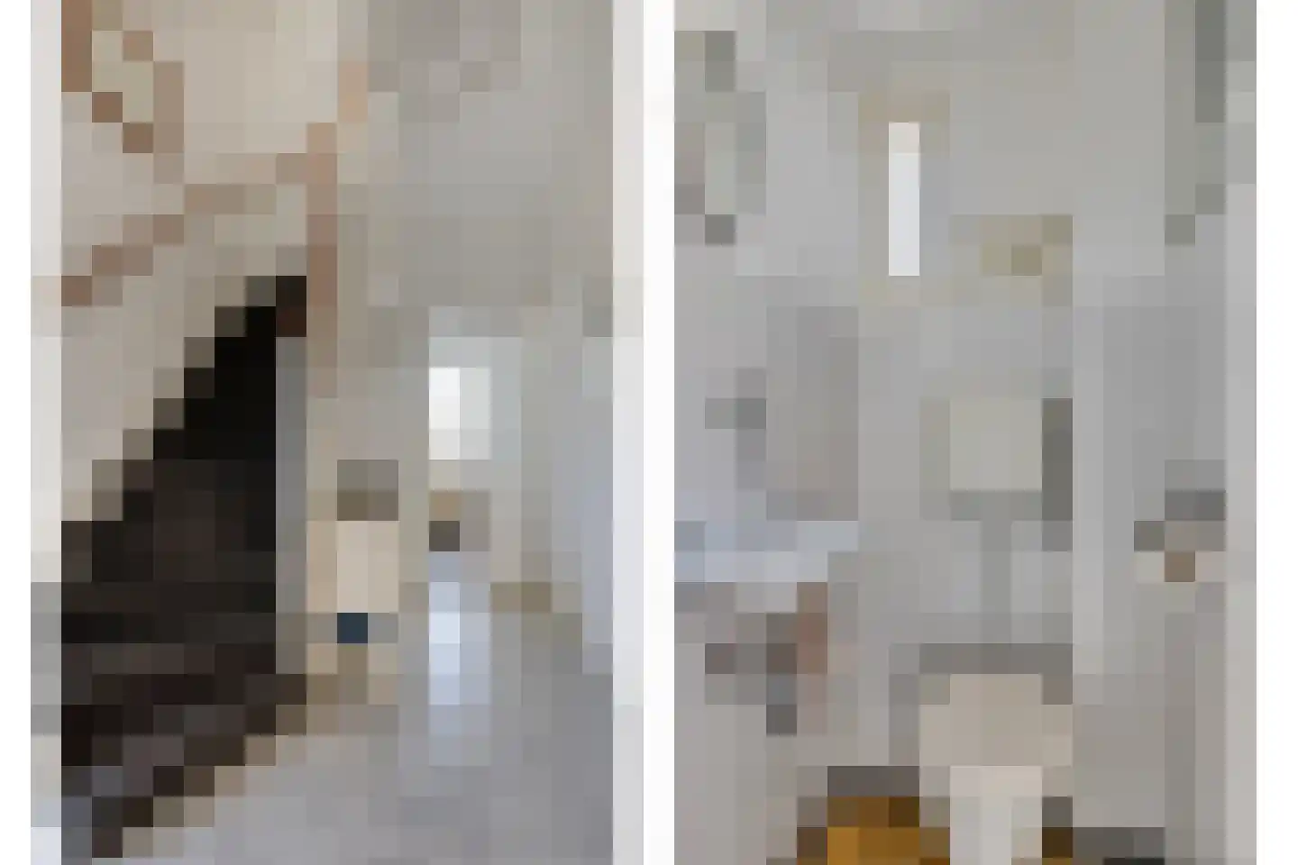 Hazenboslaan 5 Oegstgeest thumbnail 7