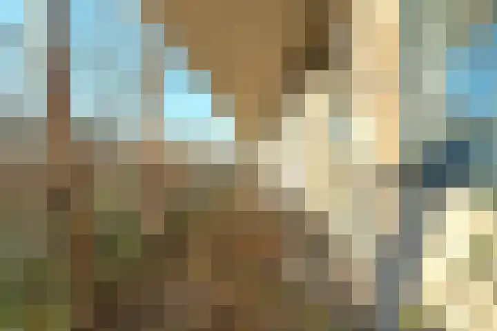Hazenburg 28 Barendrecht thumbnail 37