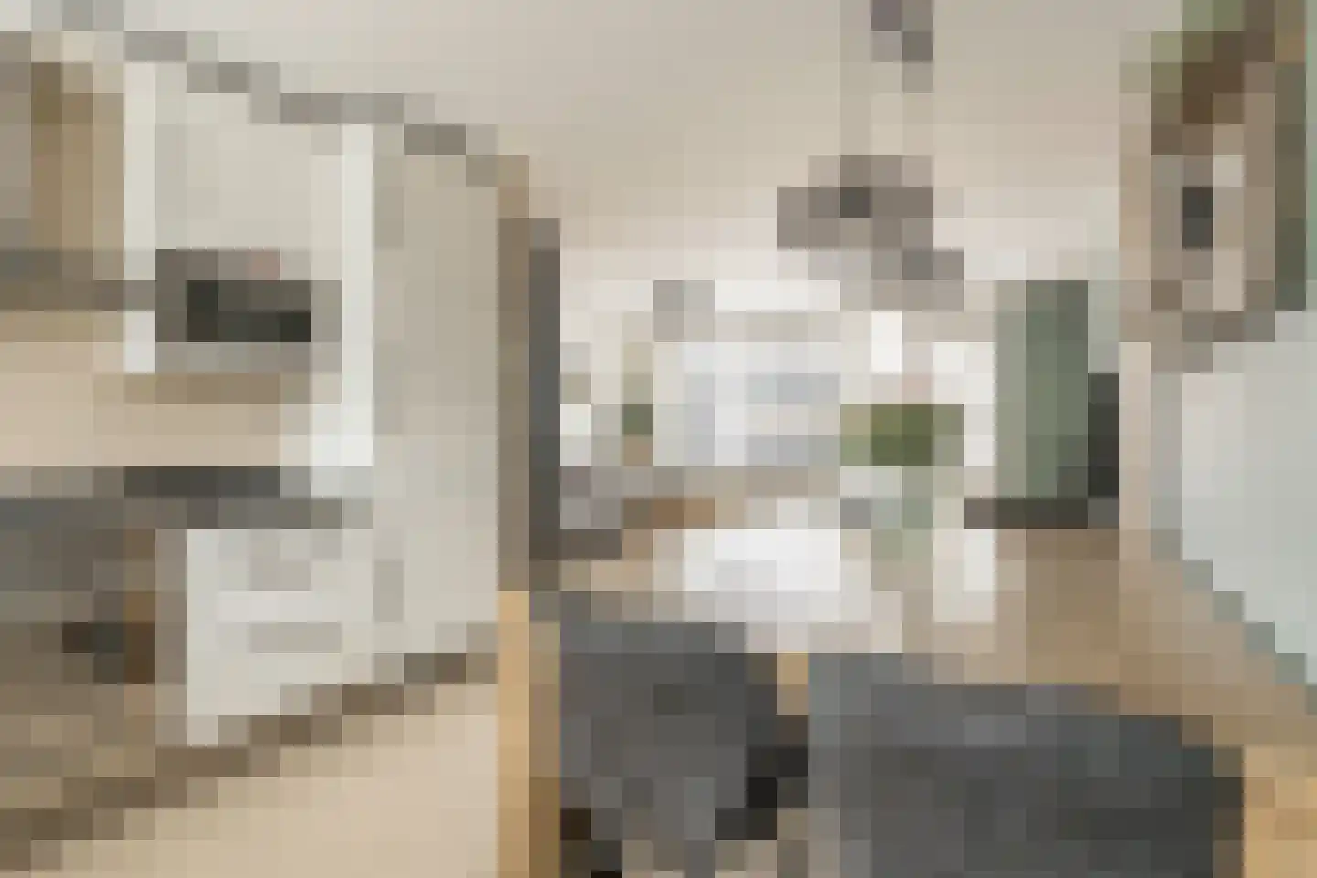 Hazenburglaan 12 Hoofddorp thumbnail 17