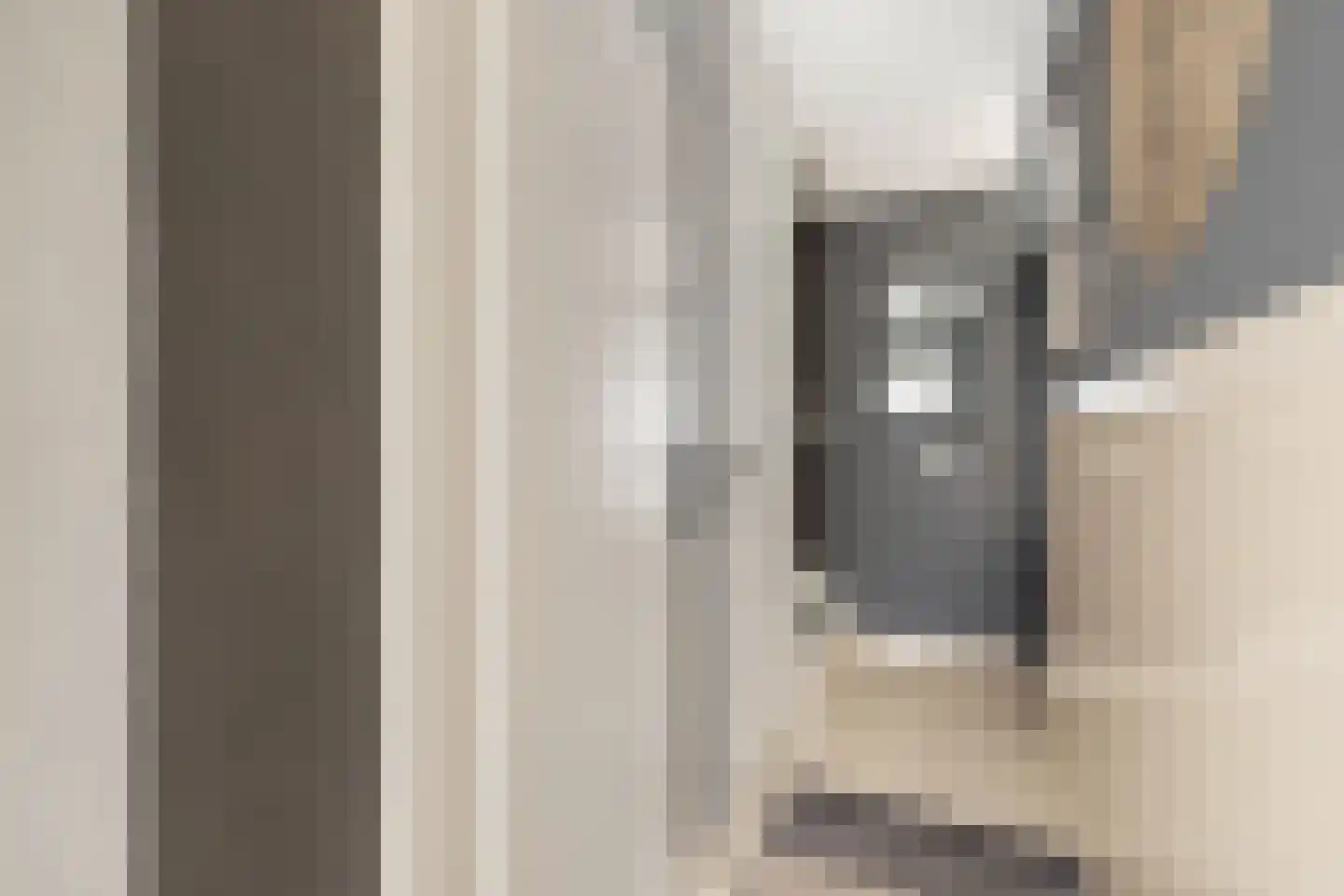 Hazenburglaan 12 Hoofddorp thumbnail 21