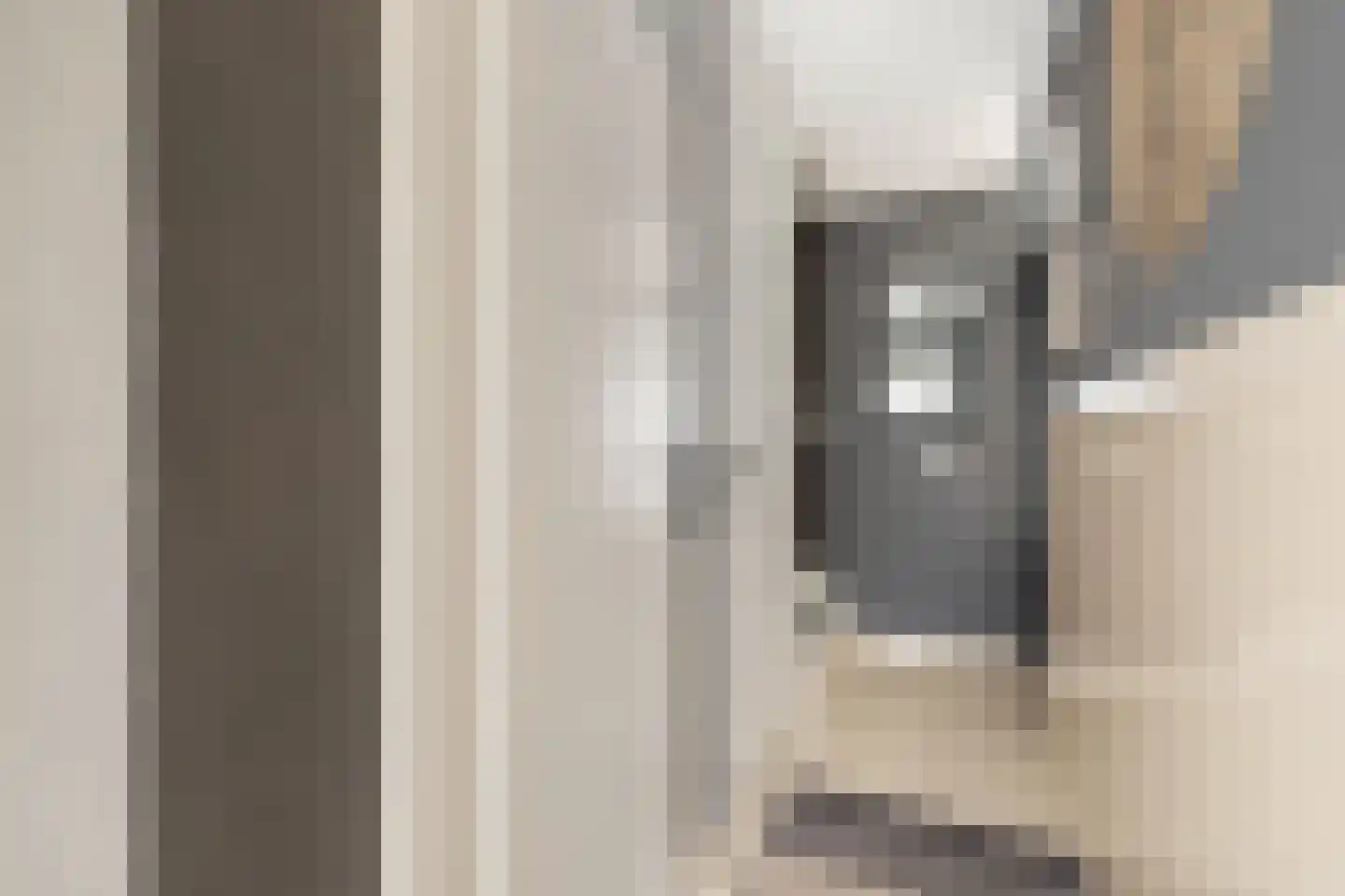 Hazenburglaan 12 Hoofddorp thumbnail 21