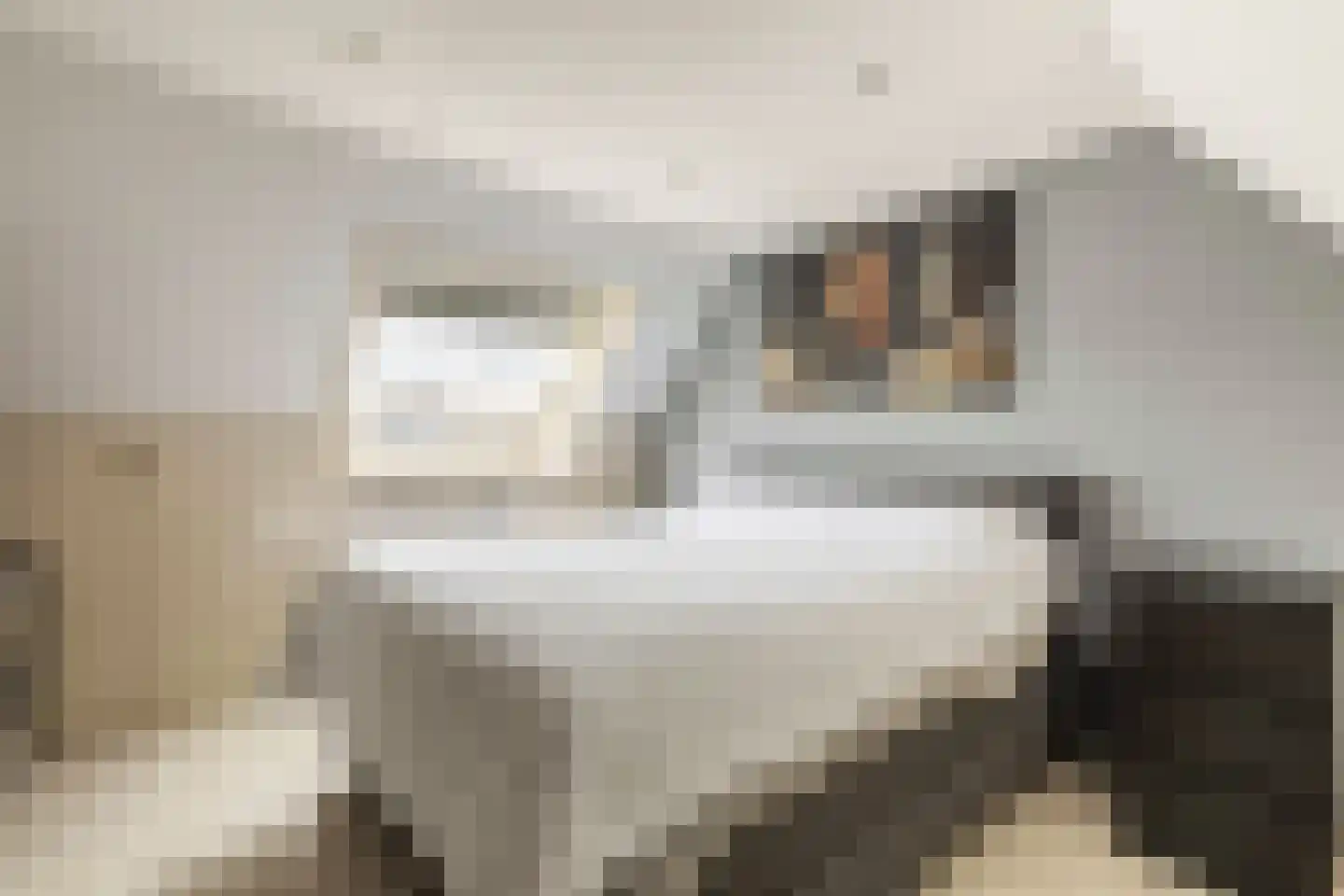 Hazenburglaan 12 Hoofddorp thumbnail 33