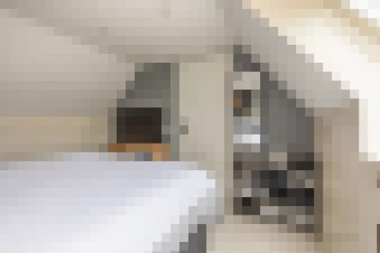 Hazenburglaan 12 Hoofddorp thumbnail 34
