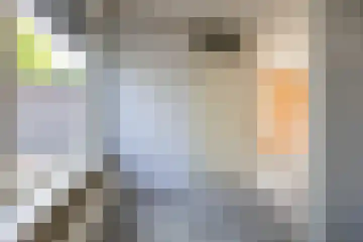 Hazenburglaan 97 Hoofddorp thumbnail 14