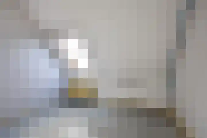 Hazenburglaan 97 Hoofddorp thumbnail 20