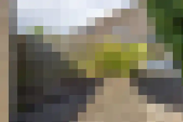 Hazenburglaan 97 Hoofddorp thumbnail 33