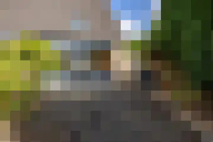 Hazenburglaan 97 Hoofddorp thumbnail 35