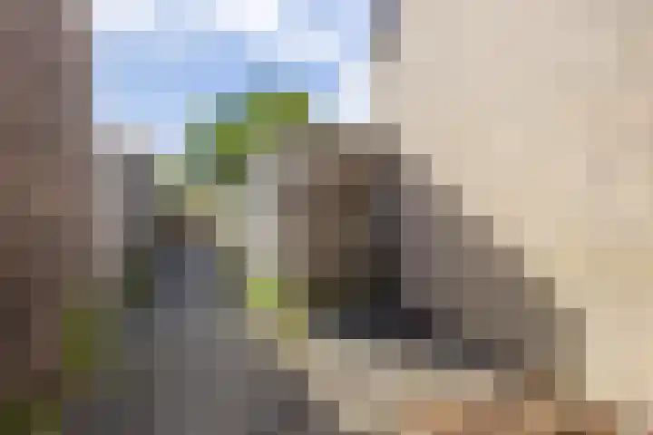 Hazenburglaan 97 Hoofddorp thumbnail 37