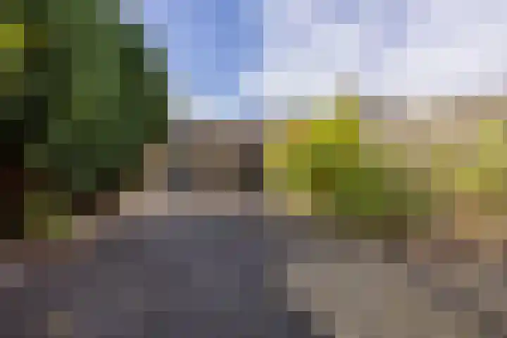 Hazenburglaan 97 Hoofddorp thumbnail 4