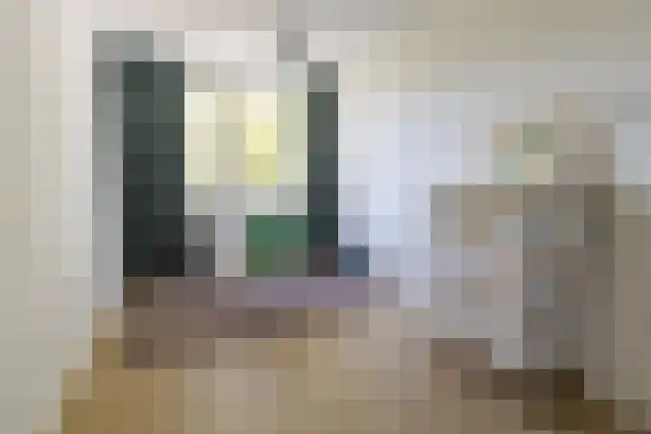 Hazendam 11 Achterveld thumbnail 14