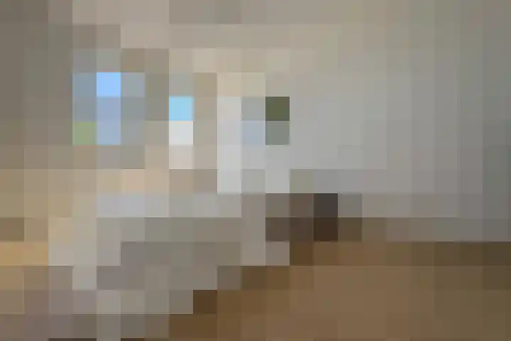 Hazendam 11 Achterveld thumbnail 17