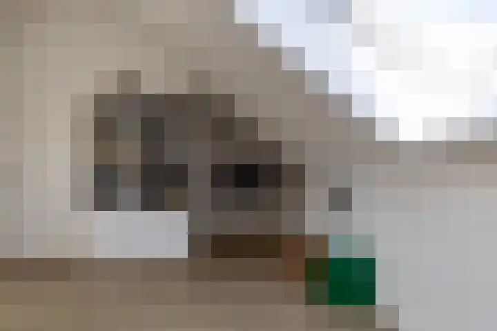 Hazendam 11 Achterveld thumbnail 22