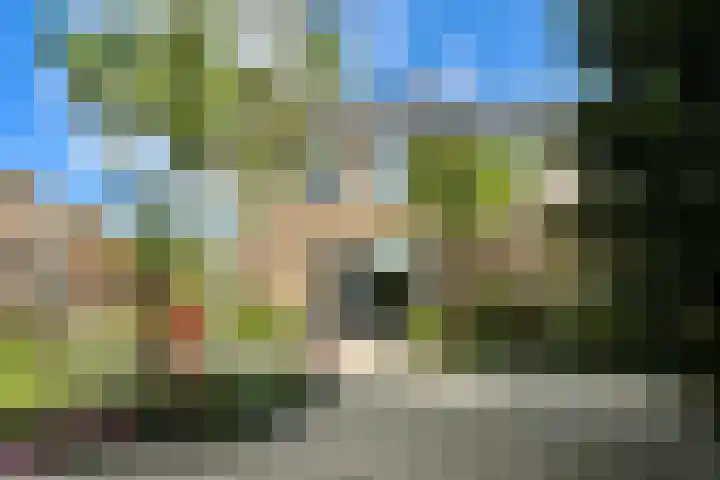 Hazendam 11 Achterveld thumbnail 23