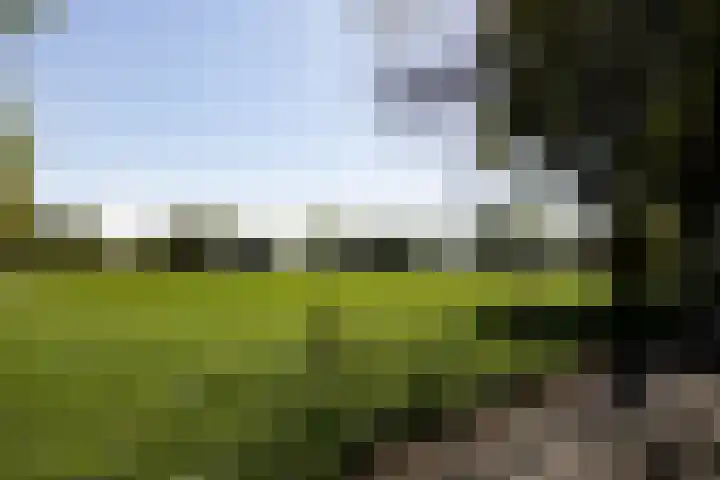 Hazendam 11 Achterveld thumbnail 24