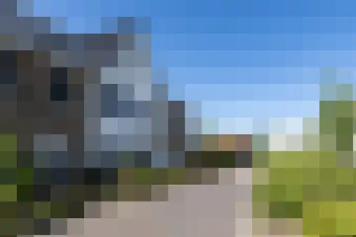 Hazendam 11 Achterveld thumbnail 5