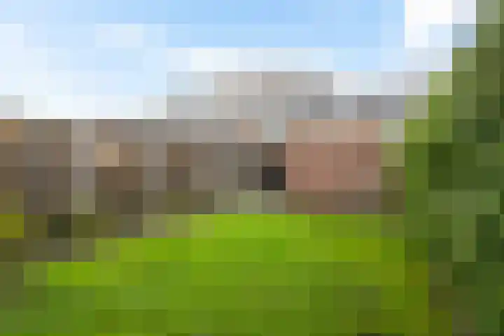 Hazendijk 78 Enschede thumbnail 4