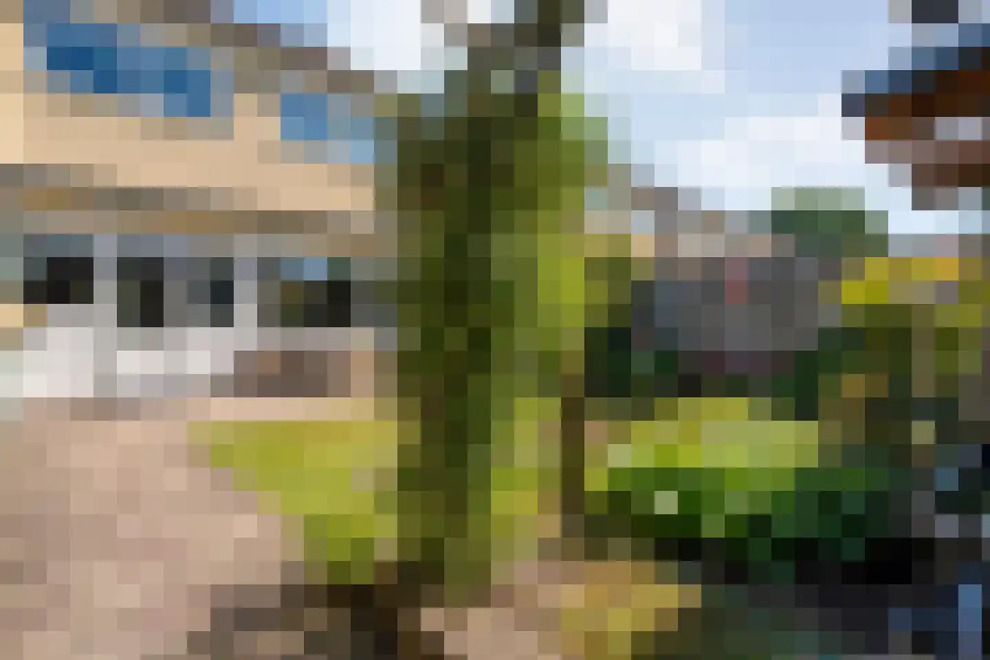 Hazendijk 83 Enschede thumbnail 34