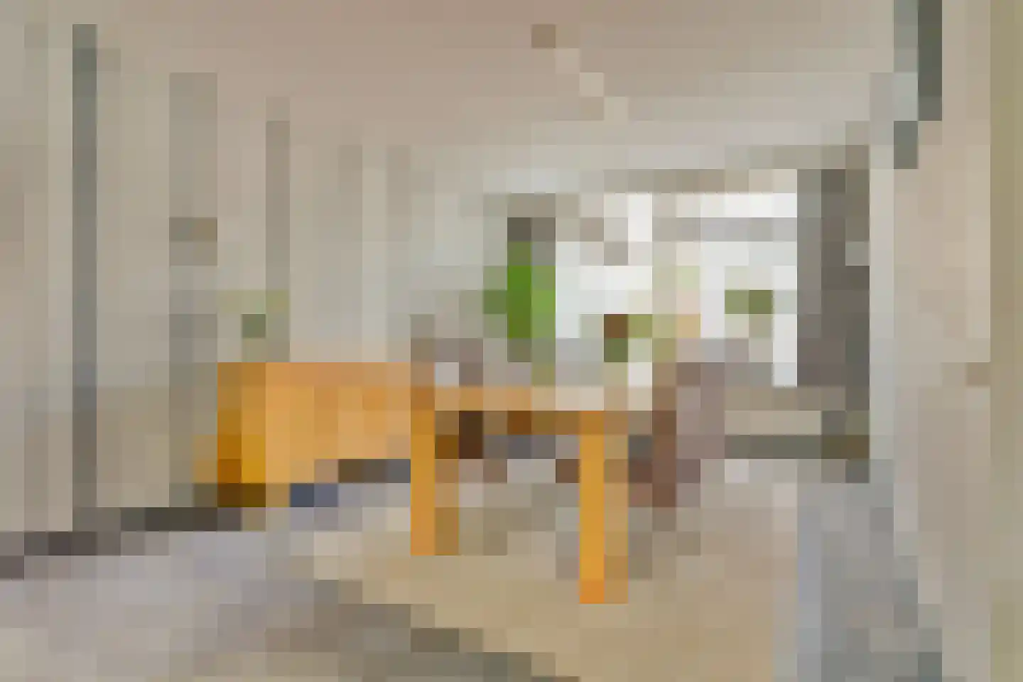 Hazendonk 12 Dongen thumbnail 12