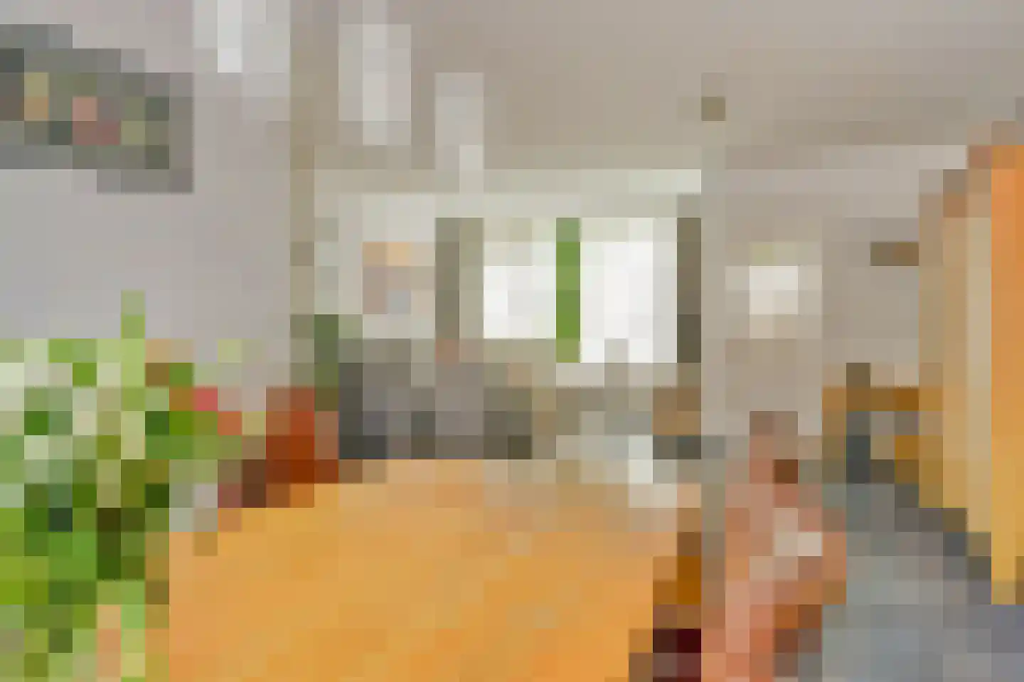 Hazendonk 12 Dongen thumbnail 14