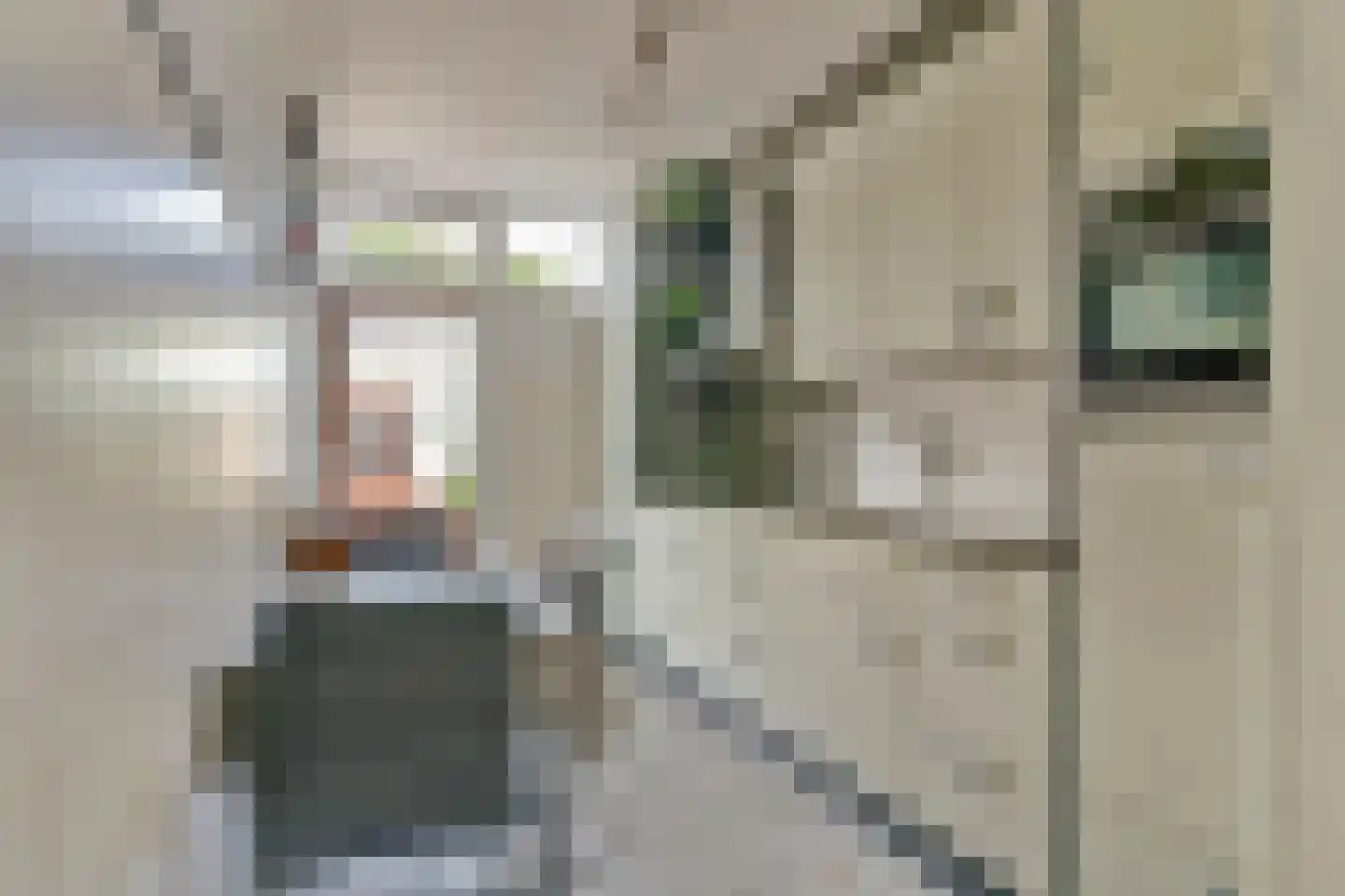 Hazendonk 12 Dongen thumbnail 15