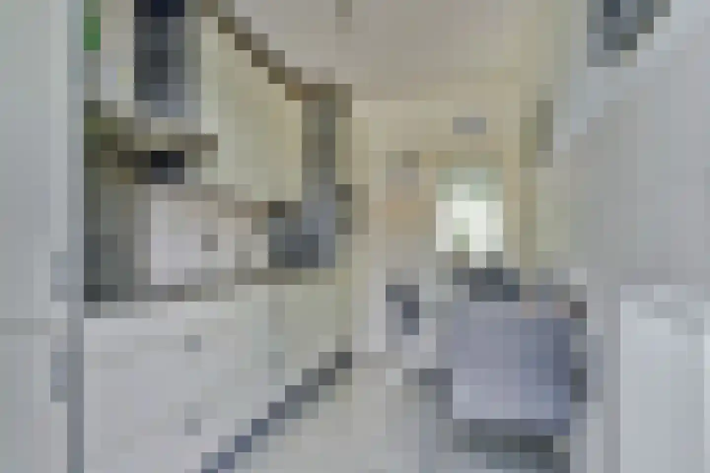 Hazendonk 12 Dongen thumbnail 16