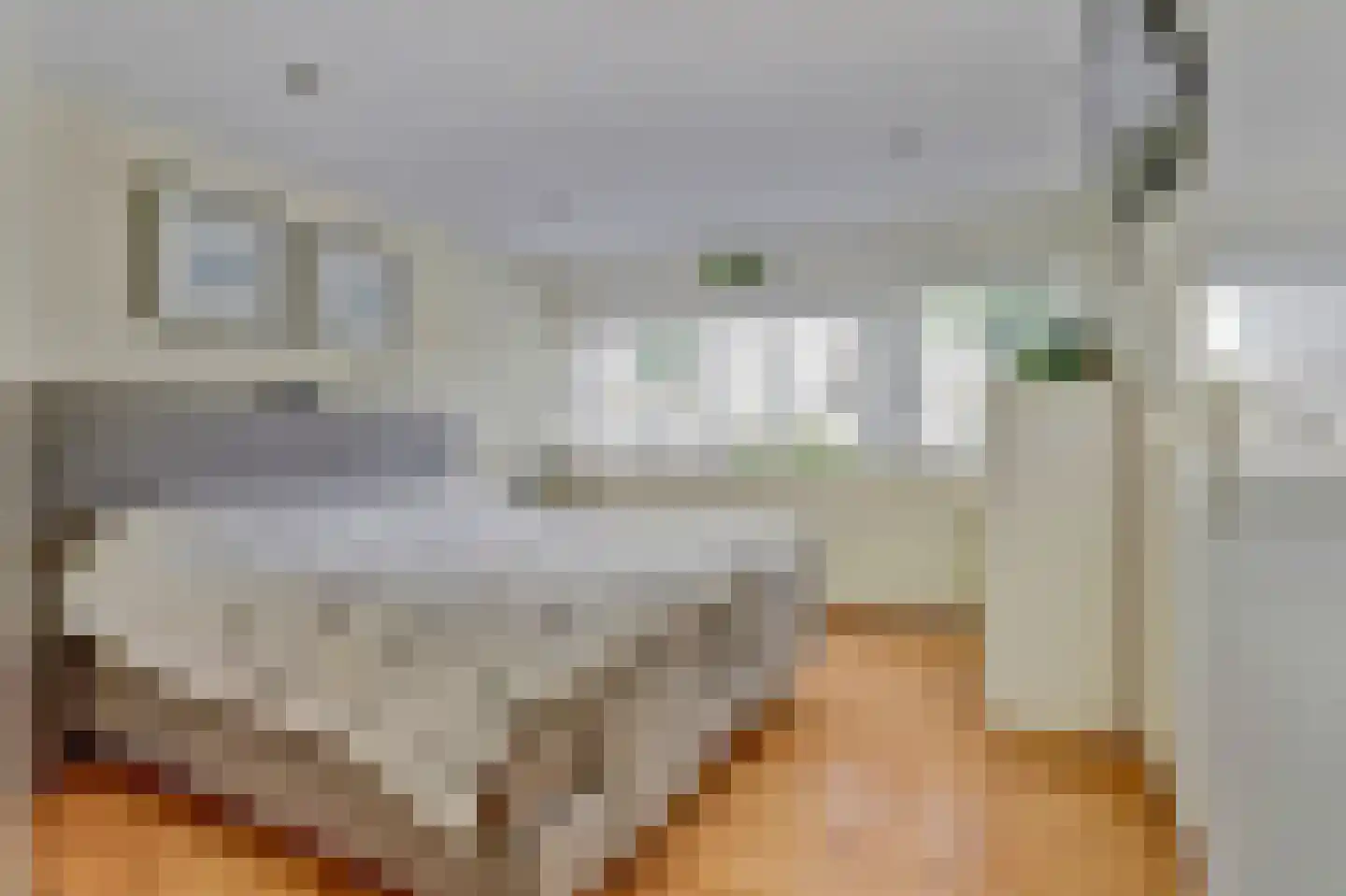 Hazendonk 12 Dongen thumbnail 17