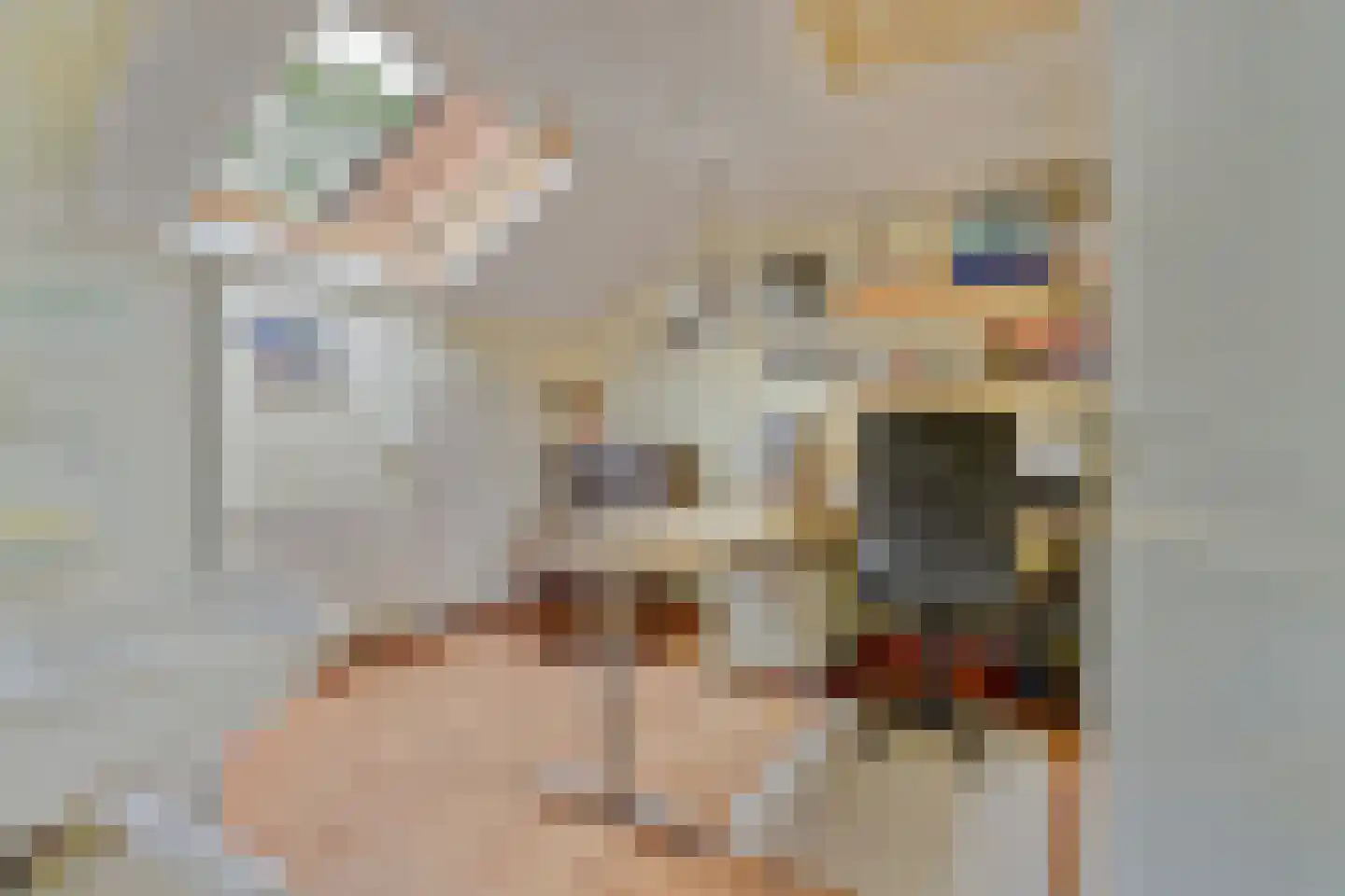 Hazendonk 12 Dongen thumbnail 18