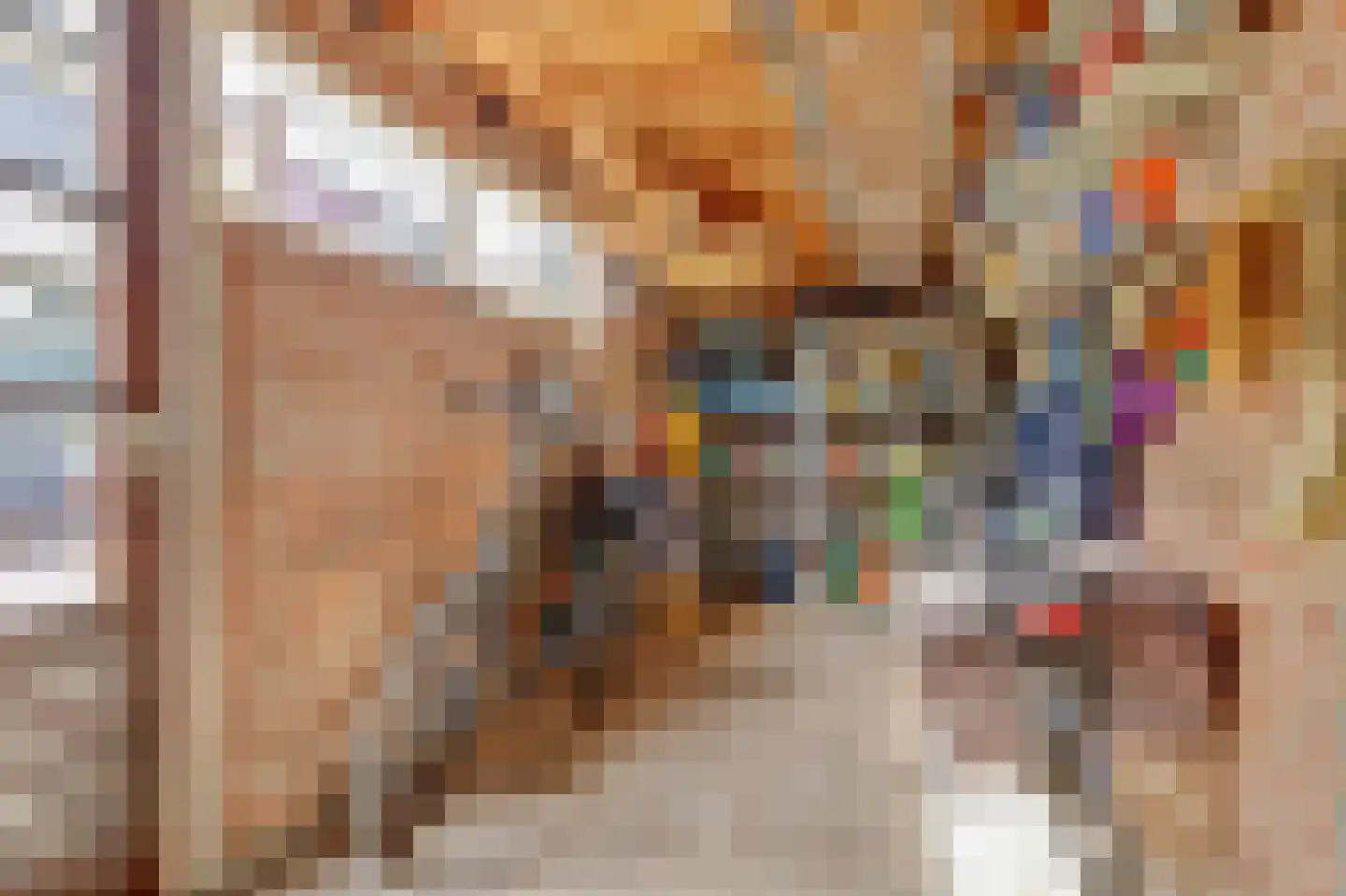 Hazendonk 12 Dongen thumbnail 27