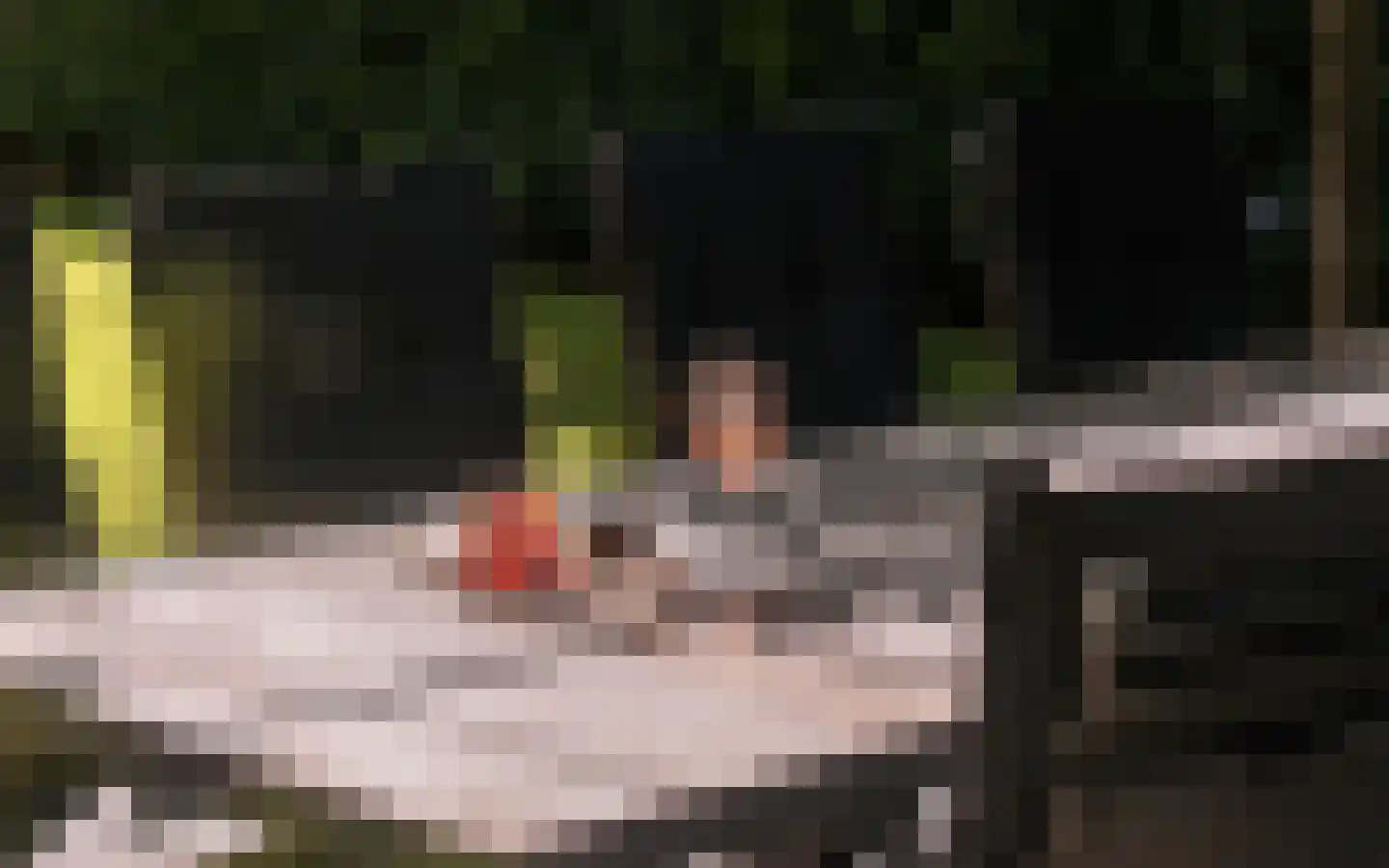 Hazendonkseweg 12 Lunteren thumbnail 101