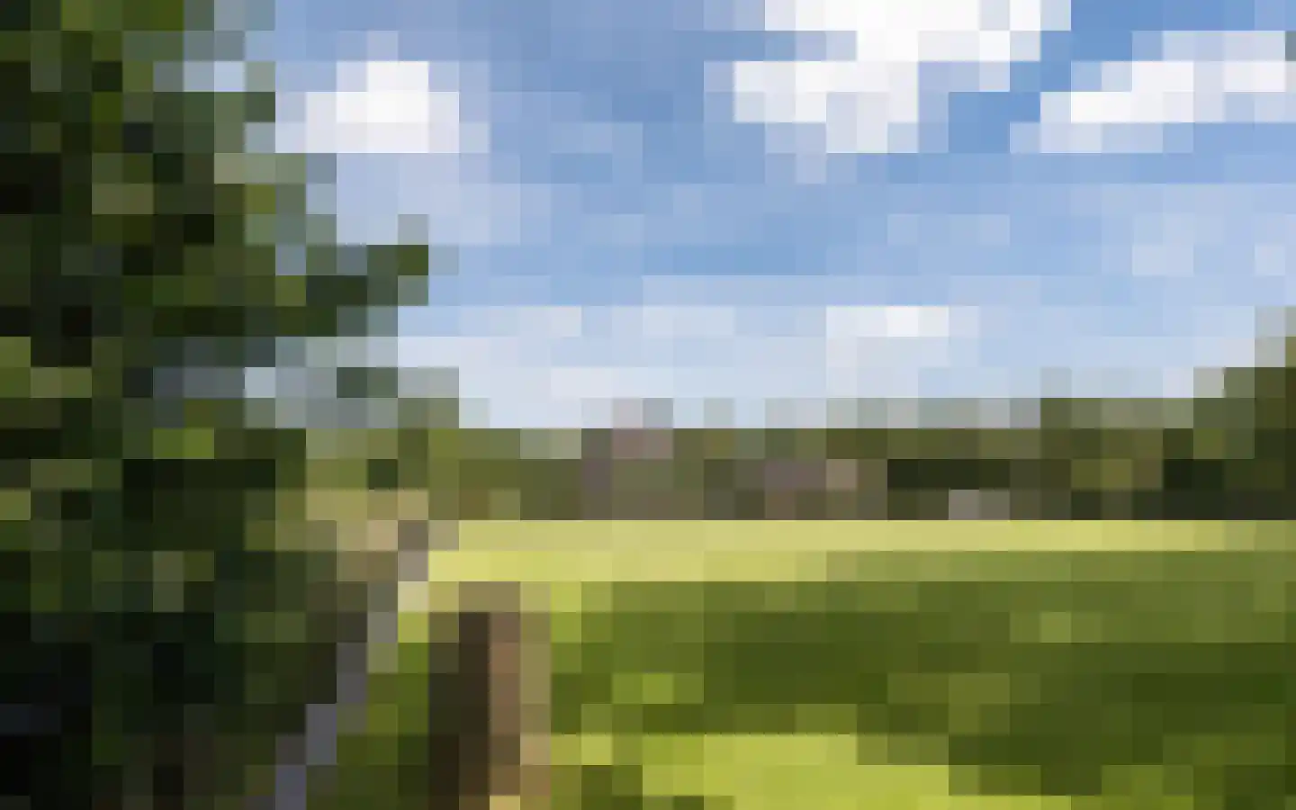 Hazendonkseweg 12 Lunteren thumbnail 121
