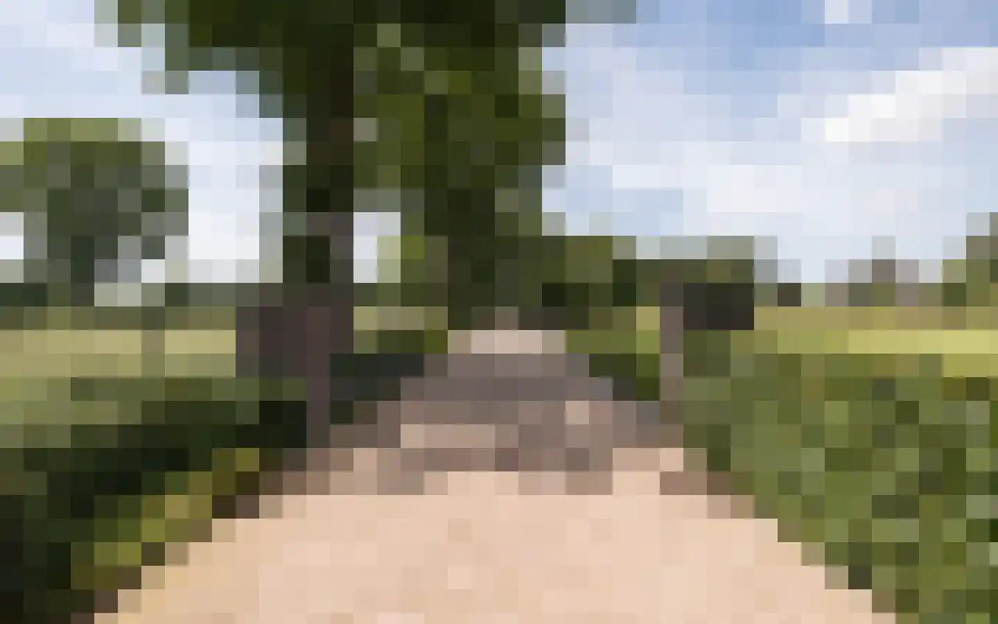 Hazendonkseweg 12 Lunteren thumbnail 123