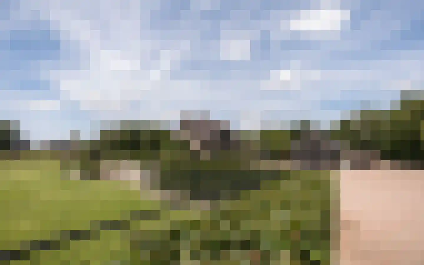 Hazendonkseweg 12 Lunteren thumbnail 125