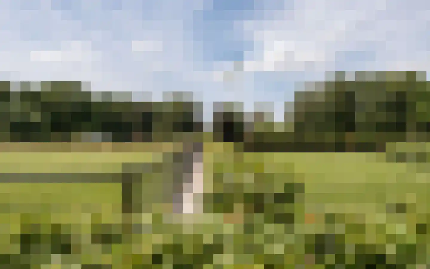 Hazendonkseweg 12 Lunteren thumbnail 126