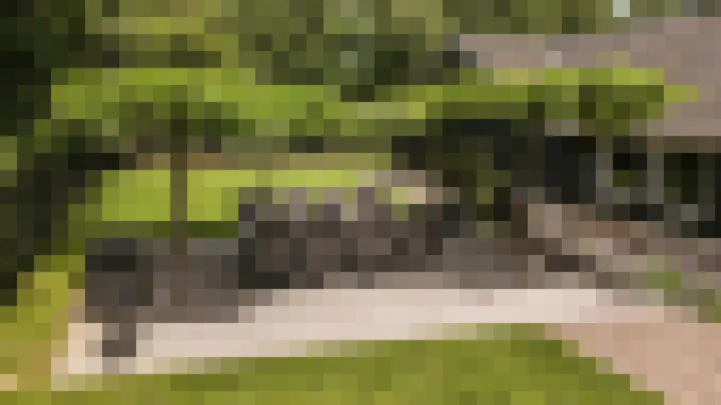 Hazendonkseweg 12 Lunteren thumbnail 128