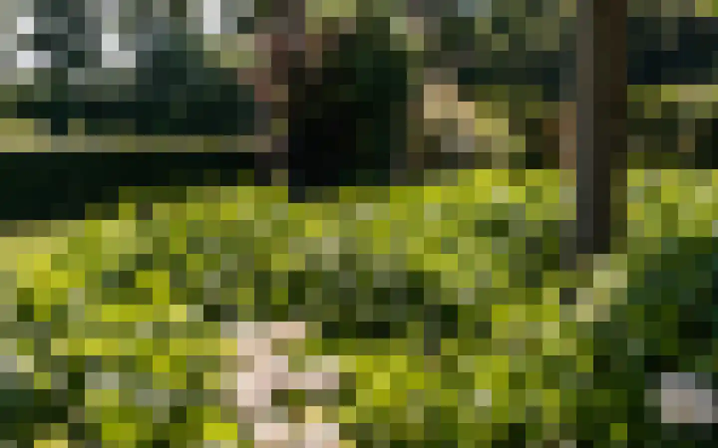 Hazendonkseweg 12 Lunteren thumbnail 130