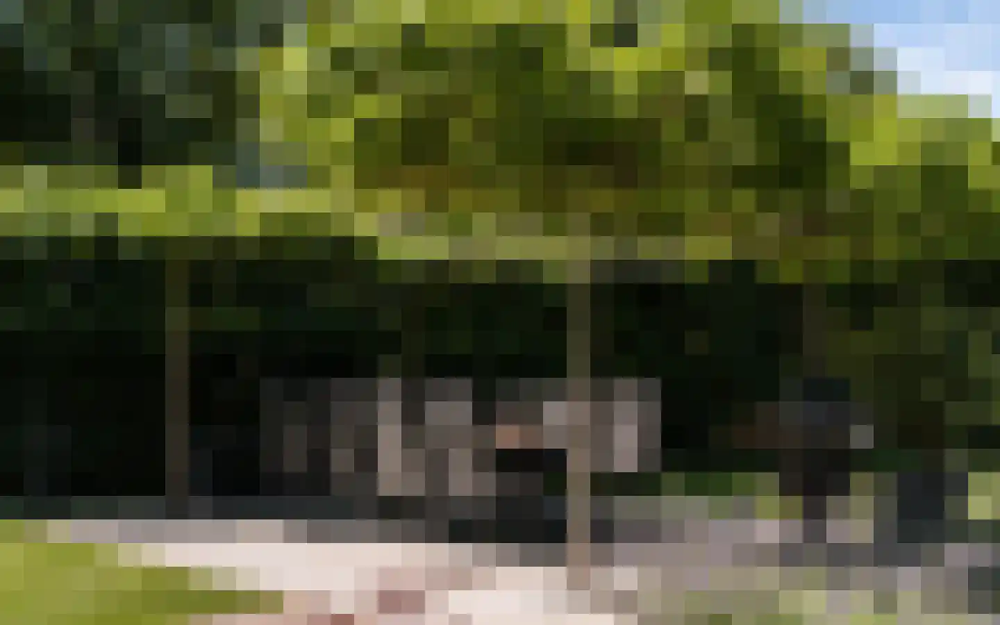 Hazendonkseweg 12 Lunteren thumbnail 134