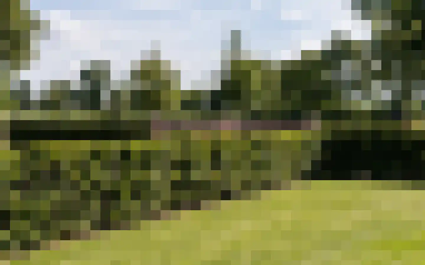 Hazendonkseweg 12 Lunteren thumbnail 136