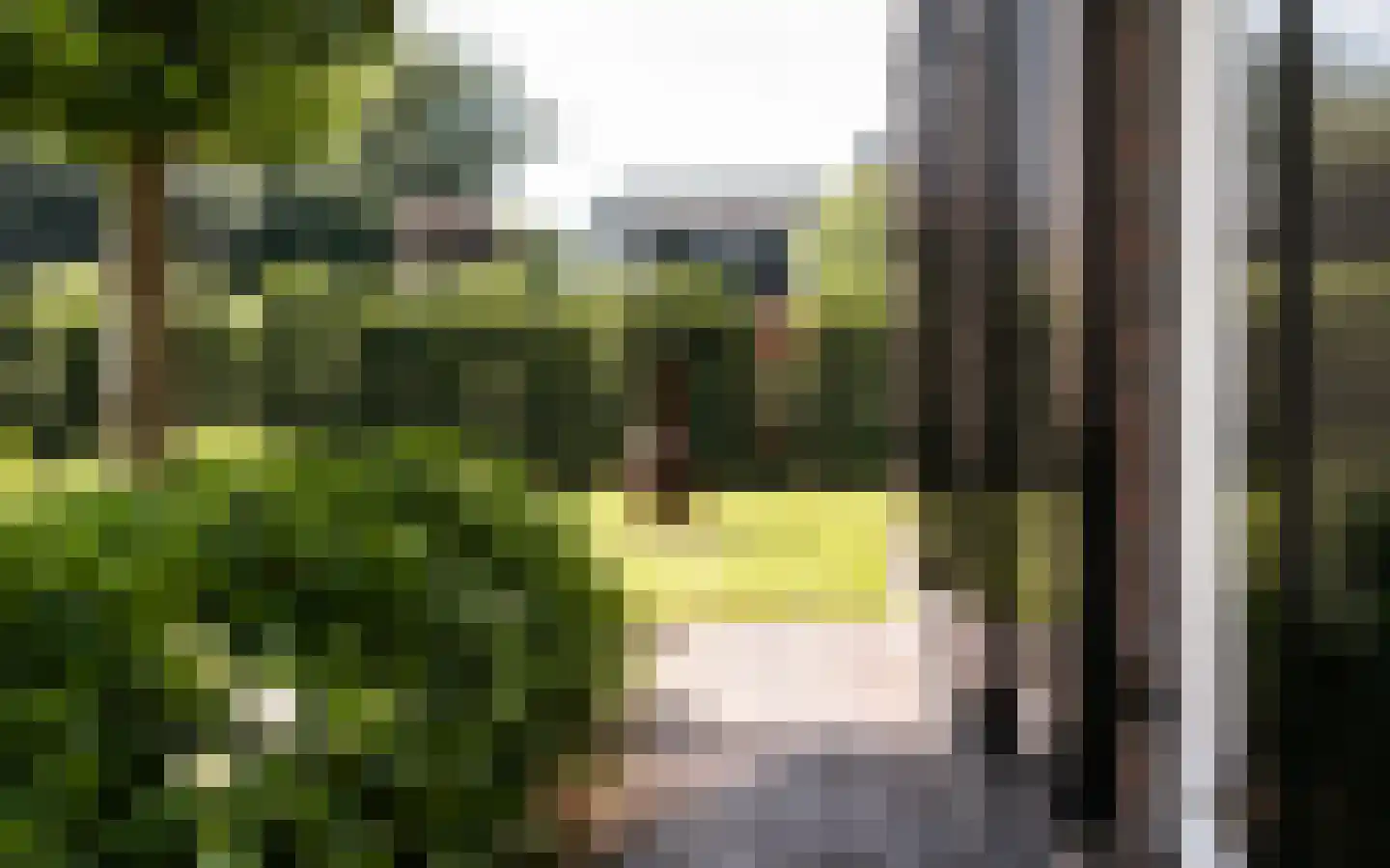 Hazendonkseweg 12 Lunteren thumbnail 137